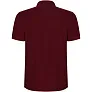 Pegaso Premium short sleeve men's polo - Roly