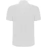 Pegaso Premium short sleeve men's polo - Roly
