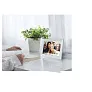 Prixton Prado 10" Frameo wifi digital photo frame - Prixton
