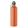 REBIG MOSS Single wall bottle, 750ml