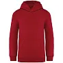  KIDS’ HOODED SWEATSHIRT - Native Spirit