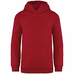 KIDS’ HOODED SWEATSHIRT - Native Spirit