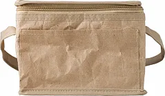 Paper woven cooler bag