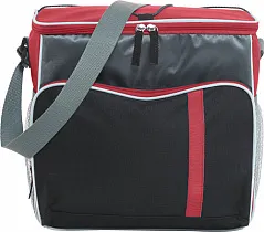 Polyester (600D) cooler bag Ravi