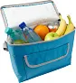 Polyester (420D) cooler bag Nikki