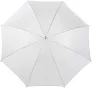  Polyester (190T) umbrella Rosemarie