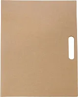 Cardboard memo folder