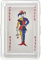 PET case with playing cards