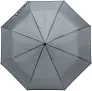  Pongee umbrella Conrad