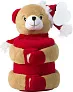 Christmas stuffed animal with blanket Andrew