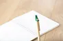 Cardboard ballpen Peter