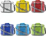  Polyester (420D) cooler bag Juno