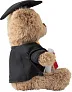 Magnus Plush graduation bear