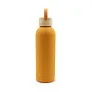 Zeniqua Termo boca, 500 ml