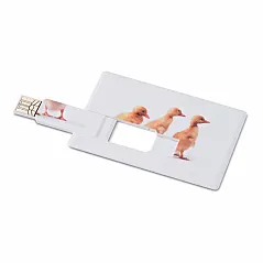 Kreditna kartica USB 4GB