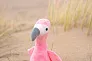  Plišani flamingo Alicia
