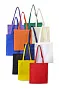  Nonwoven (80 gr/m²) shopping bag Talisa
