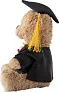 Magnus Plush graduation bear