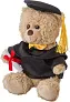 Magnus Plush graduation bear