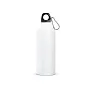 RE-LANDSCAPE M Recycled aluminium bottle with carabiner 530 mL