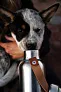 Black+Blum mala izolirana boca za vodu, 500 ml - Black & Blum