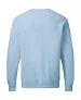  Men's Raglan Sweat - SG