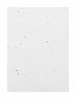 custom seed paper notebook