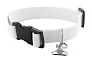 Ziggy custom dog collar