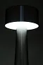 Flanagan barska stolna lampa
