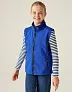 Ablaze Junior Softshell Bodywarmer - Regatta Junior