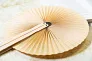 Lolli hand fan