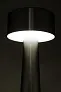 Flanagan barska stolna lampa