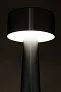 Flanagan barska stolna lampa