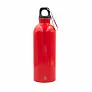 Brenda Sportska boca s karabinerom, 500 ml