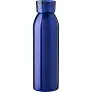  Sports bottle 650 ml