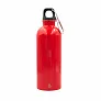 Brenda Sportska boca s karabinerom, 500 ml