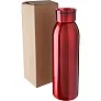  Sports bottle 650 ml