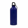Brenda Sportska boca s karabinerom, 500 ml
