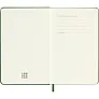  MOLESKINE diary A6