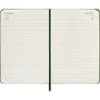  MOLESKINE diary A6