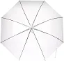  POE umbrella Denise
