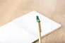  Cardboard ballpen Peter