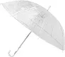  POE umbrella Denise