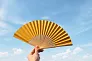 ELIO Bamboo hand held fan