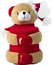 Christmas stuffed animal with blanket Andrew