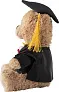 Magnus Plush graduation bear