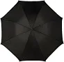  Polyester (190T) umbrella Rosemarie