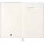  MOLESKINE diary A5