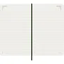  MOLESKINE diary