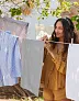  Organic Cotton Tea Towel - Westford Mill